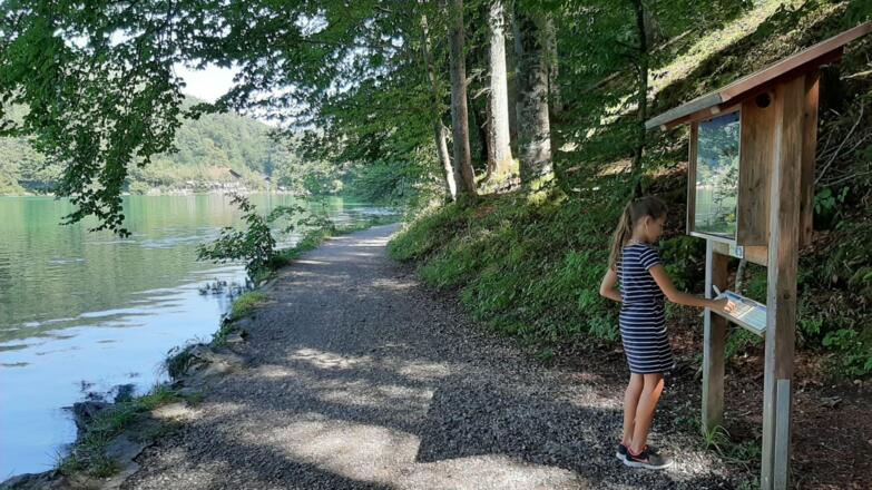 Schautafel des Vogelerlebnispfads