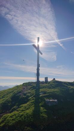 Schafreiter früh Morgens ganz allein