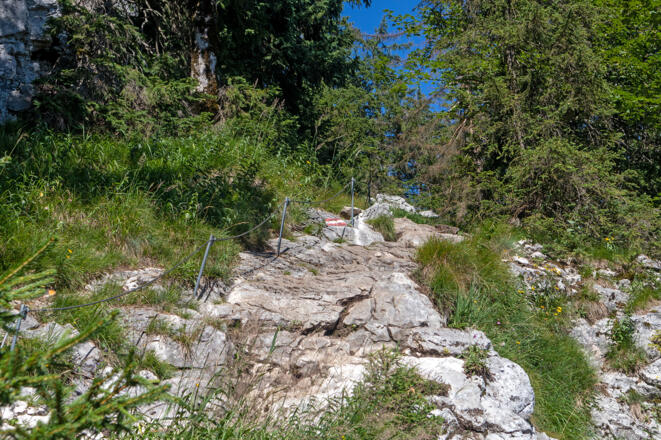 Seilversicherte Passage im Aufstieg zum Mahdlgupf.