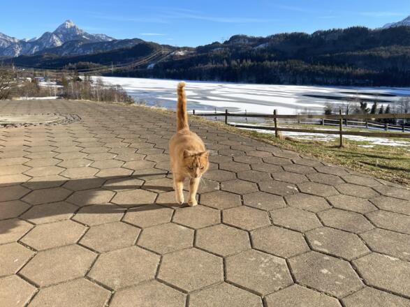 FCAE9C20-EFFC-4405-AEC7-32C930838476