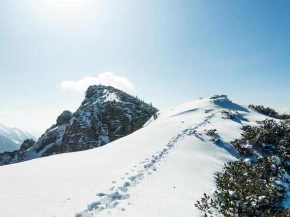 die Spur auf den Schinder