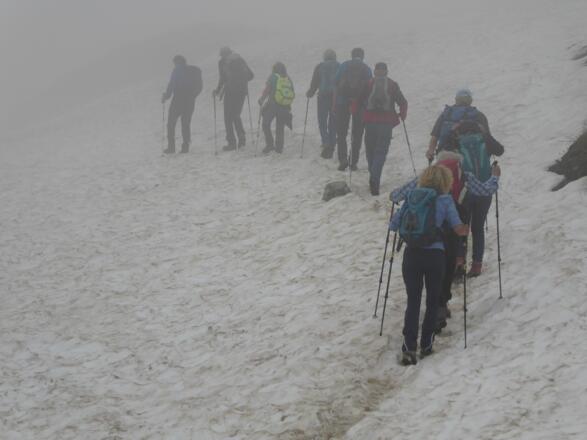 Schneefeld im Ochsengümple