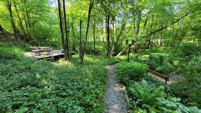 Weg zum Bach und Teich