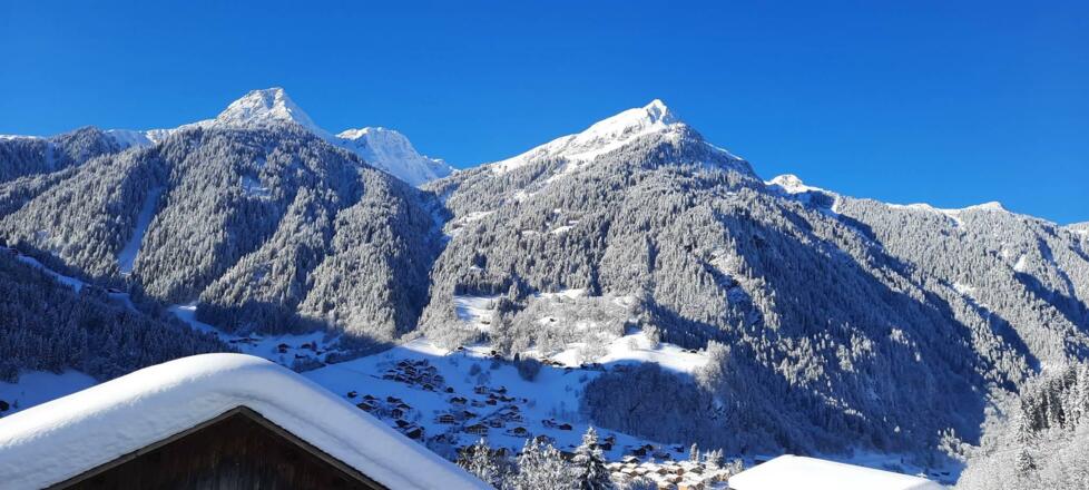 Aussicht Haus Schallner