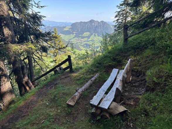 Aussichtsbank Schützensteig Richtung Großer Galtenberg