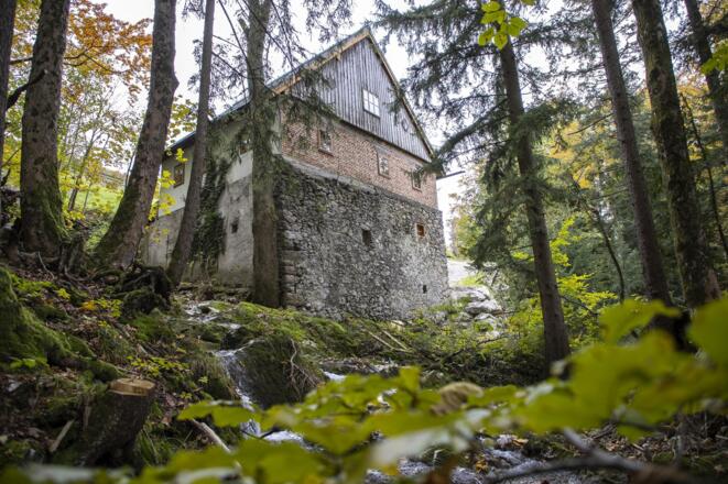 Aussenansicht vom Wald