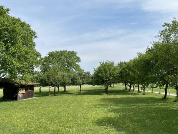 Garten mit Weg zum Reifinger See