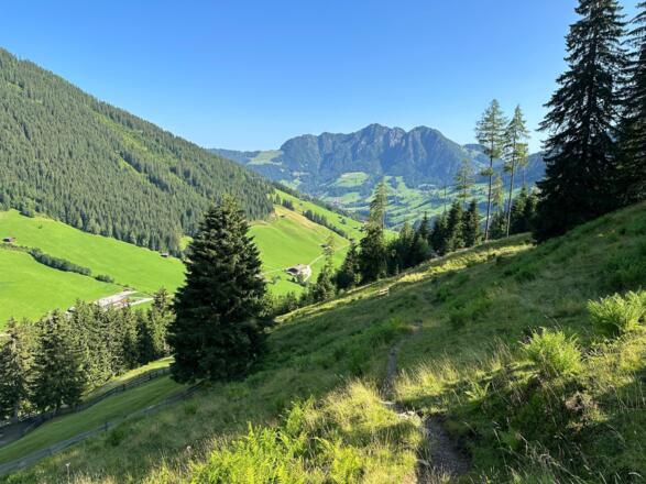 Jagdsteig Weg Inneralpbach - Stettauer Almen