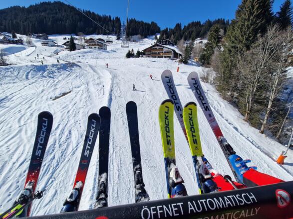 Austrian Ski- & Service Ranch Ski