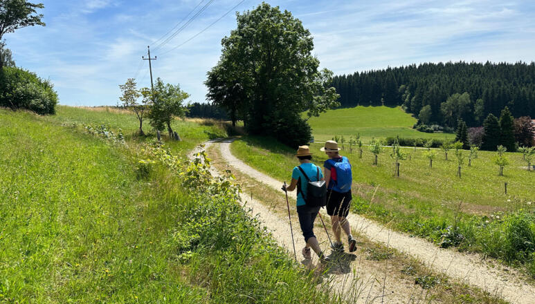 Silberbergerweg Kaltenberg Wandern