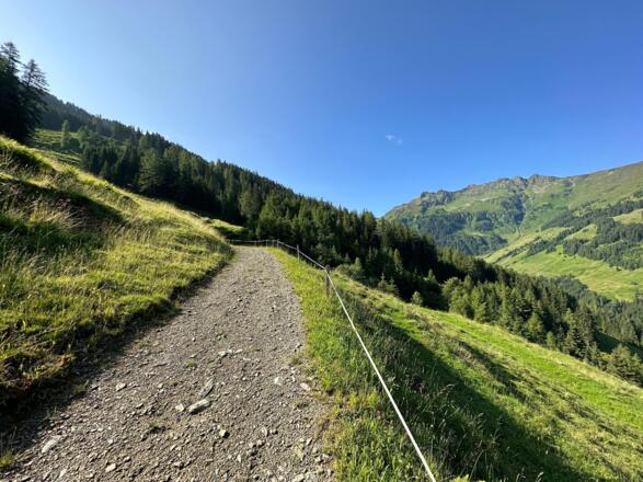 Jagdsteig Weg Inneralpbach - Stettauer Almen