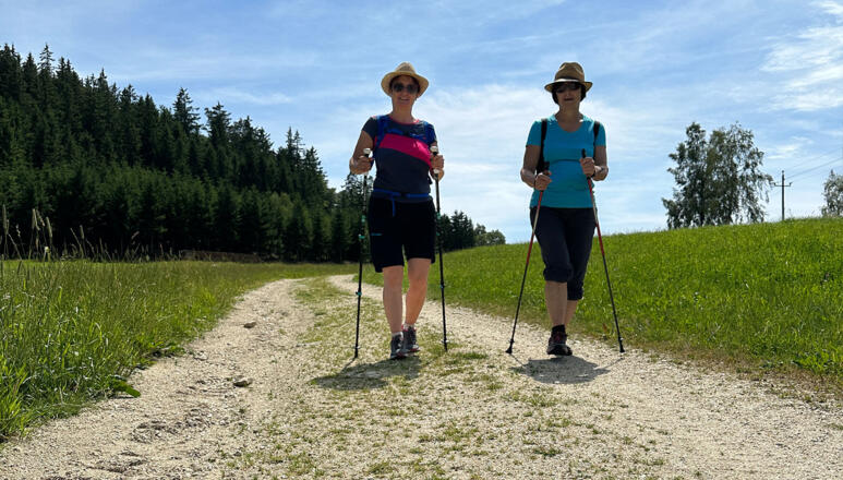 Silberbergerweg Rundweg Kaltenberg