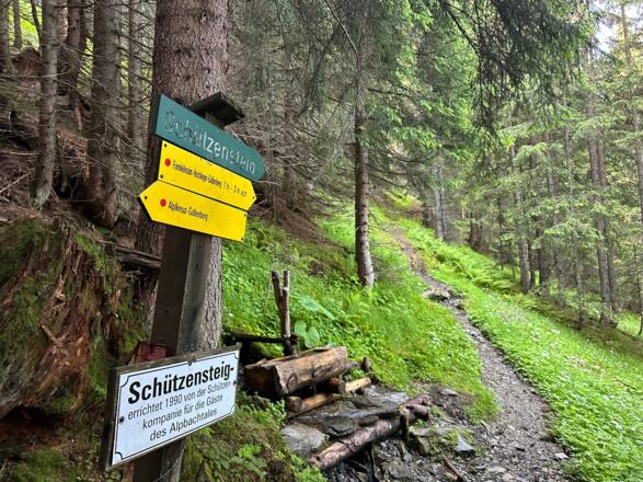 Schützensteig Richtung Großer Galtenberg