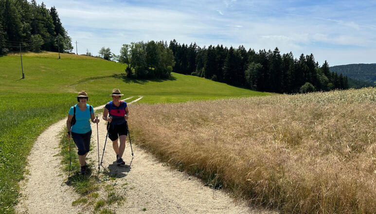 Wandern am Silberbergerweg