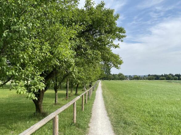 Weg zum Reifinger See am Haus vorbei