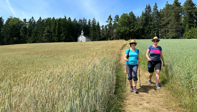 Kammererkreuz Mülviertel Wandern Silberbergerweg Johannesweg Wallfahrerweg