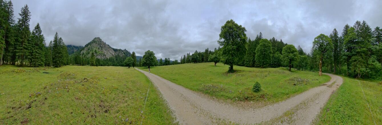 Bergwiese am Kenzenbach