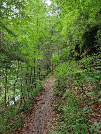Schöne Wege/Pfade zwischen Kenzenhütte und Halblech