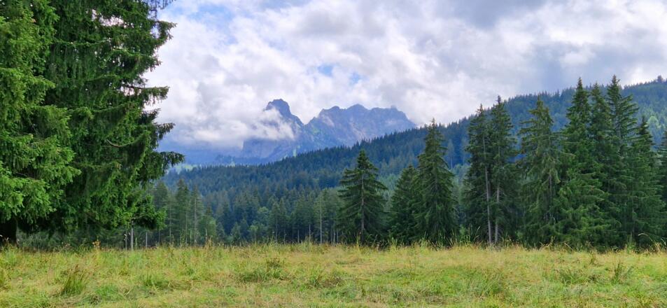 Blick hinein ins Ammergebirge