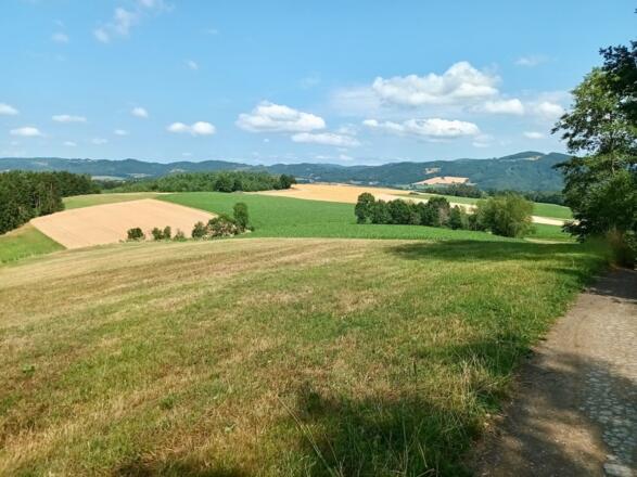 Blick zum Gallner (rechts) vom Weg nach Stützbrunn