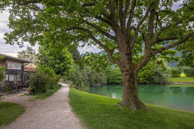 Gehweg am Reifinger See