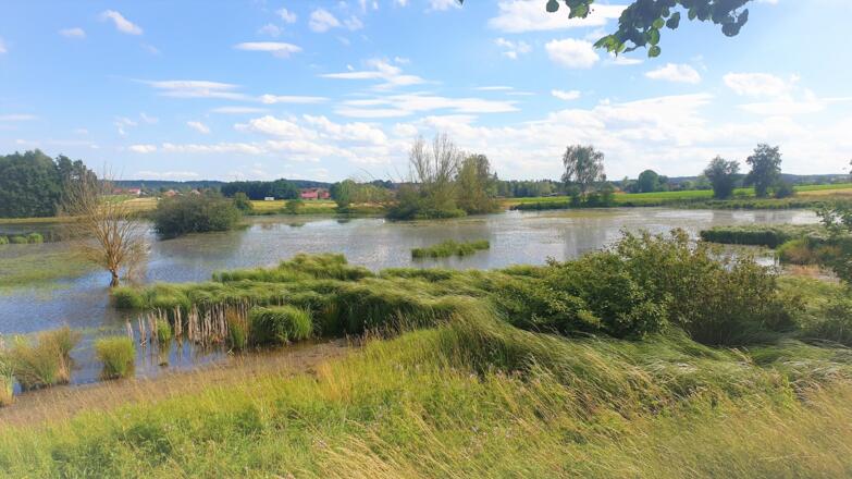 Riedgrabensee Großwenkheim