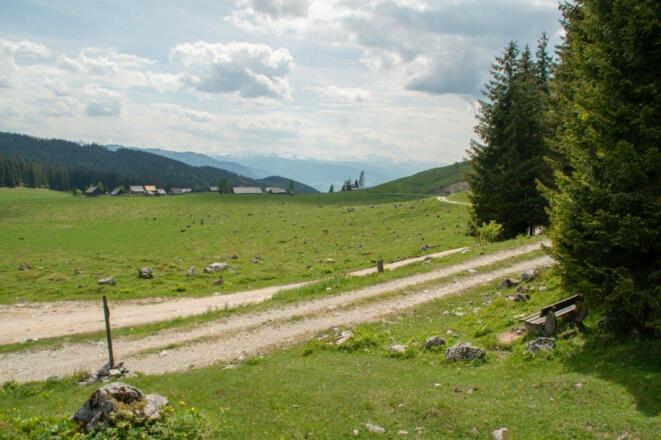 Die letzten Meter auf der Forststrasse zurück zur Alm