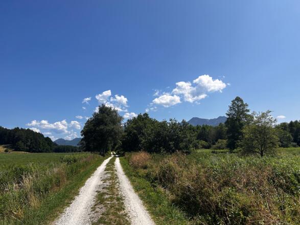 Radweg zum Westerbuchberg
