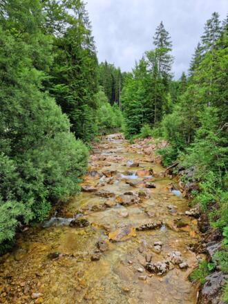 Zusammenfluss von Bockstallbach  und Lobentalbach