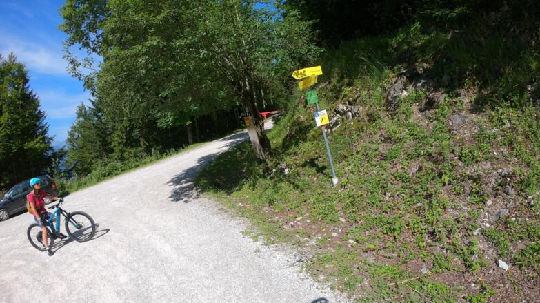 Variante 3: WP 40702-0098 Parkplatz Raschberg km41,0 Seehöhe 1030m, Ausgang St. Agatha oder Halleralm bergab auf Asphalt
