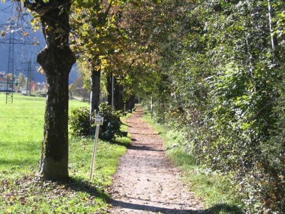 RW_River_Run_Mayrhofen 23