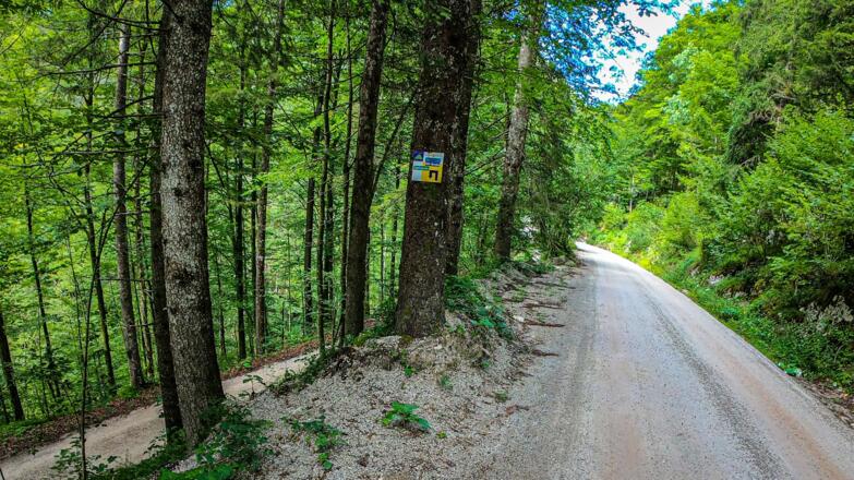 Variante 1: WP 40703-0009 Rettenbachtal, km27,4 Seehöhe: 580m,  Distanz 4km nach Bad Ischl
