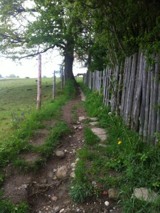 Auf abwechslungsreichen Wegen kommen wir zum Berggipfel des Hohen Peißenbergs.