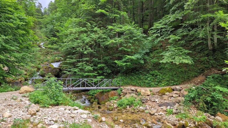 Reichlich Brückenüberquerungen über den Kenzenbach