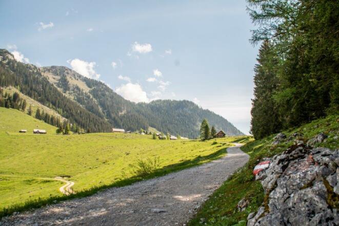 Die ersten Meter am Forstweg