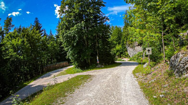 Variante 4: WP 40702-0224 Predigstuhl, km46,8 Seehöhe: 980m, Ausgang Bad Goisern bregab auf Asphalt