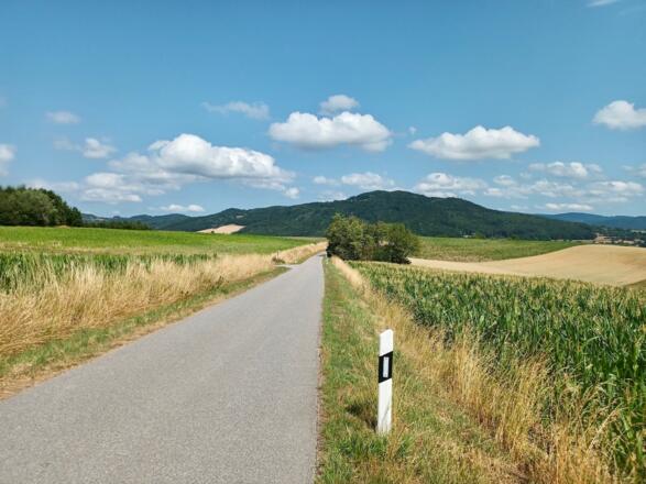 Gallner von der Straße nach Pfahlhaus
