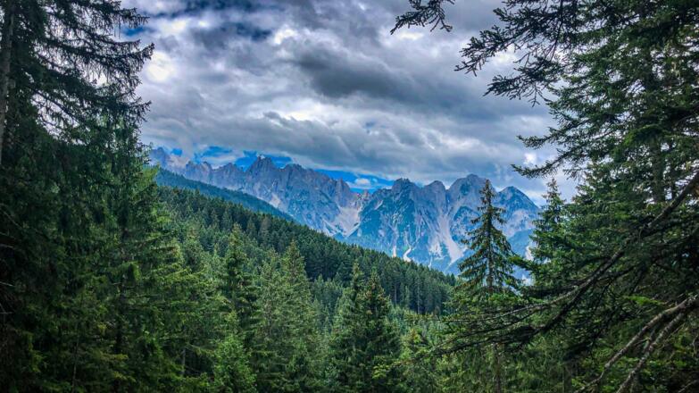 Blick zum Gosaukamm