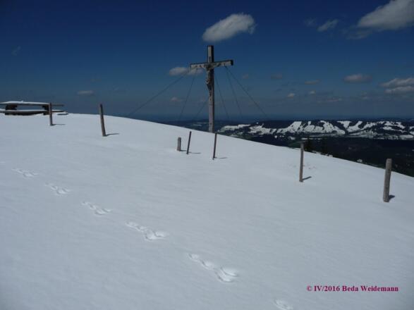 am Gipfelkreuz des Immenstädter Horn (29.4.2016)