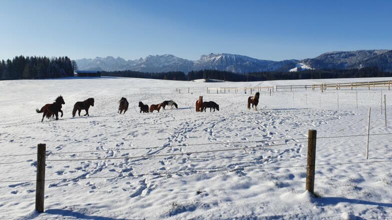 traumhafter-wintertag