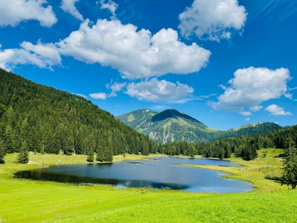 Biohotel-Sommerau-Seewaldsee3