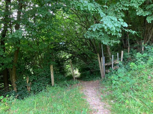 Silberlbach-Wasserfall Trail