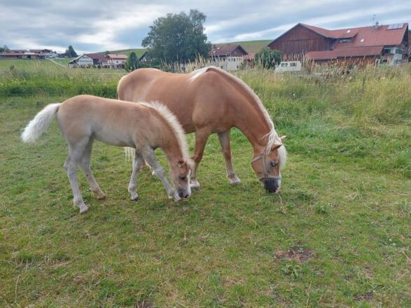 Oxana mit Tochter Omira