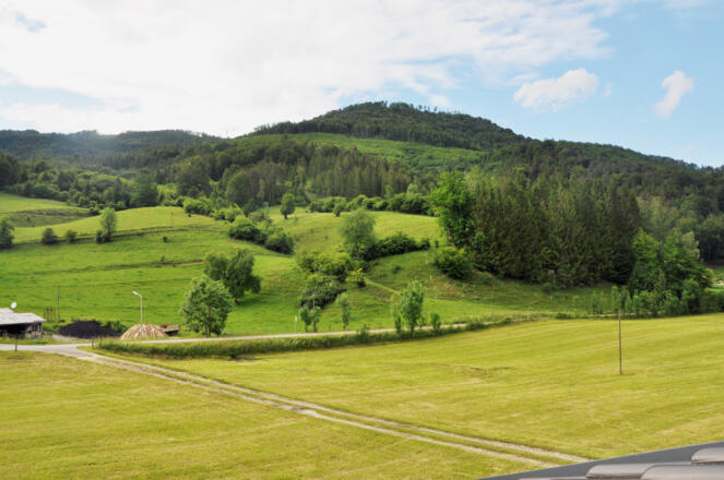 Ferienhaus-Steyrdurchbruch-Leonstein---Almblick