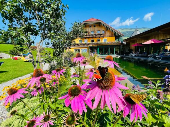 Biohotel-Sommerau-aussen