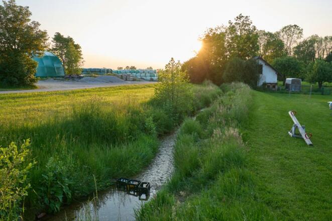 Unser Fuchshaldenbach