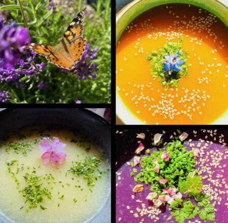 Biohotel-Sommerau-Basensuppen