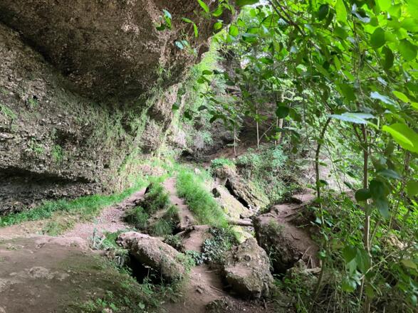 Silberlbach-Wasserfall Trail