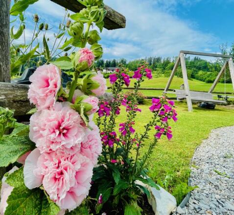 Biohotel-Sommerau-Schaukel