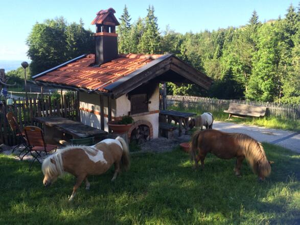 Hefteralm mit Backhaus und Ponies